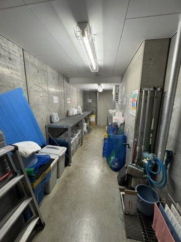 MFPRコート武蔵小山（1003） 部屋画像