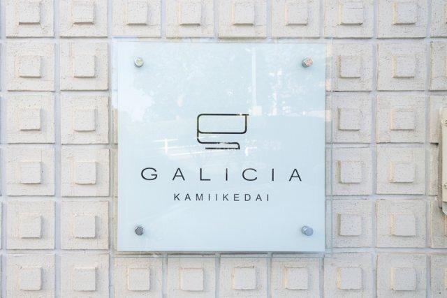 ガリシア上池台（302） その他