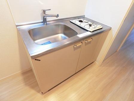 メゾン西馬込（303） 部屋画像