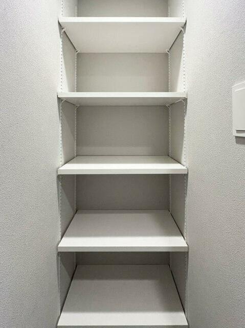 ウェルスクエア中延Ⅱ（402） 収納