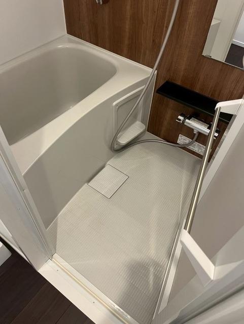 RELUXIA品川西大井（403） 部屋画像
