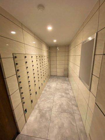 プライマル戸越銀座（1404） 部屋画像