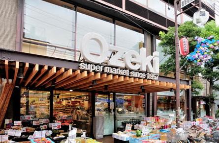 ステージグランデ田園調布（212） 周辺環境