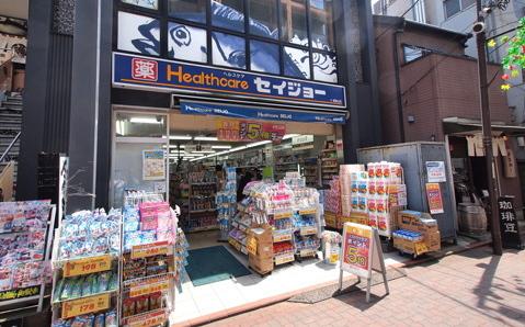 ステージグランデ田園調布（212） 周辺環境