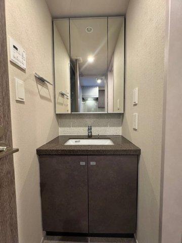 ザ・パークハビオ荏原中延駅前（808） 洗面