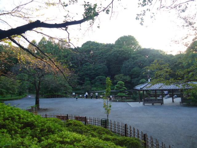 ビィ・フォルマ中延（403） 周辺環境