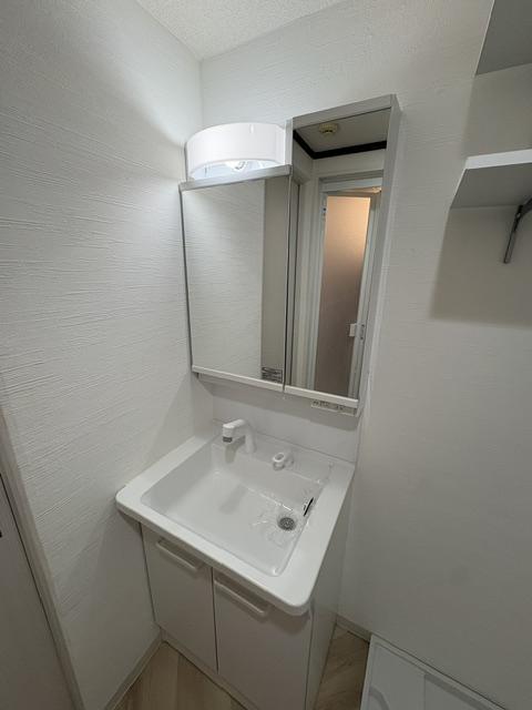 品川区西大井マンション 洗面