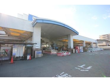 DCMダイキ万代店：1422m