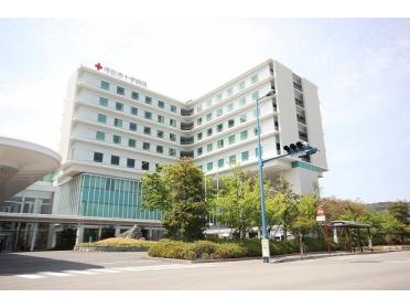 徳島赤十字病院：2038m