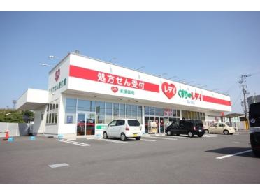 くすりのレデイ羽ノ浦店：1427m