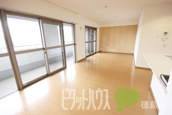 徳島市南昭和町マンション リビング