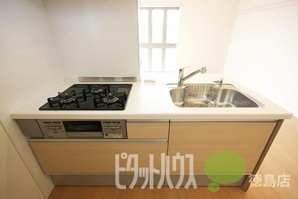 徳島市上吉野町マンション 部屋画像