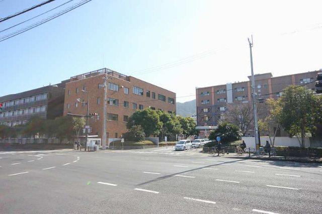 国立徳島大学薬学部：1178m