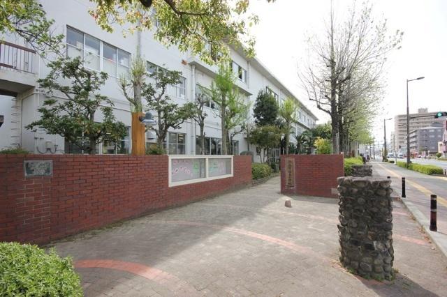 徳島市立福島小学校：570m