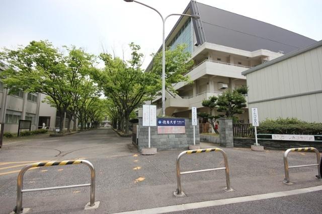 国立徳島大学総合科学部：1104m
