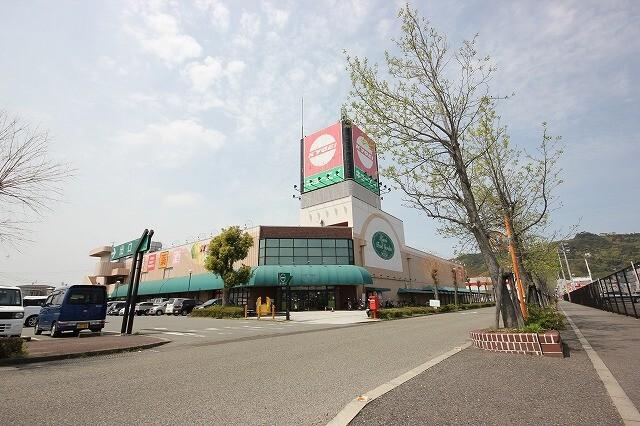 キョーエイドラッグ小松島店：1168m