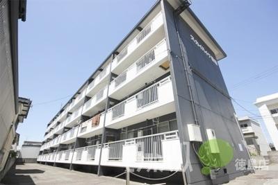 スカイハイツ新田 物件画像