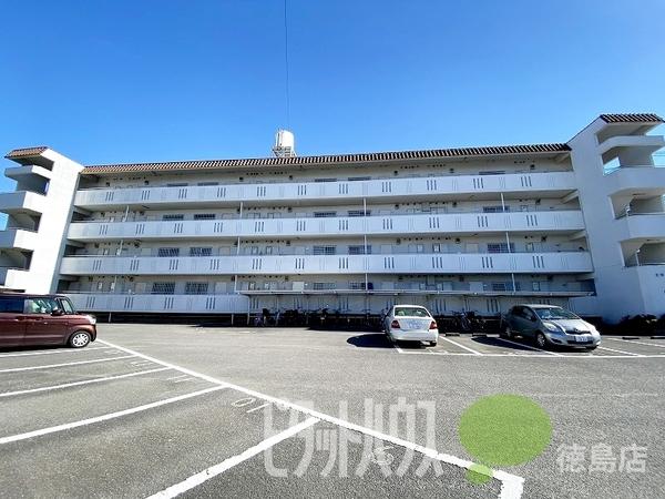 東洋ハイツ 物件画像