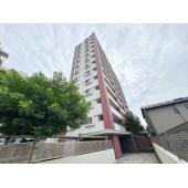 【新規リフォーム物件】「柏」駅徒歩9分で忙しい朝、遅い帰宅時にも嬉しい距離感です。駅前が栄えているため、お休みの日もお買い物に不便しませんね♪