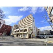 【「八柱」駅徒歩1分の好立地】忙しい朝、遅い帰宅時にも安心の駅近物件です。イトーヨーカドーなども徒歩圏で、車を使わなくてもお買い物に不便しませんね♪