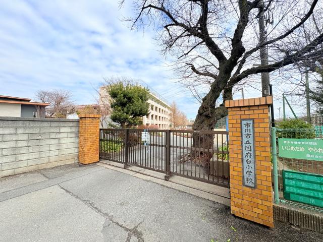 市川市立国府台小学校