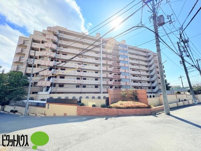 サンクタス新松戸ヴィレーヴ 物件画像