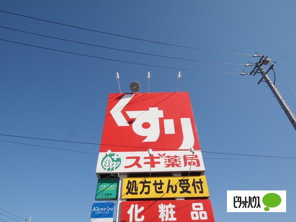 スギ薬局上地店：381m