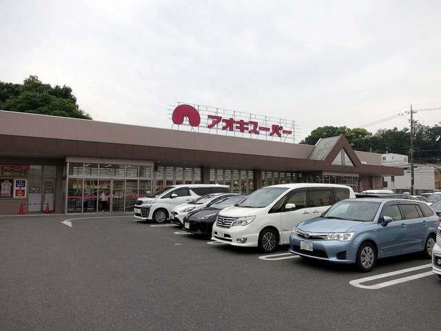 アオキスーパー：850m