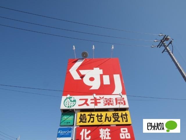 スギ薬局大和店：948m