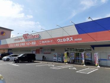 ウェルネス 倉吉南店：260m