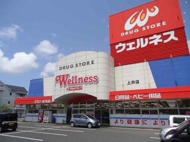 ウェルネス上井店：40m