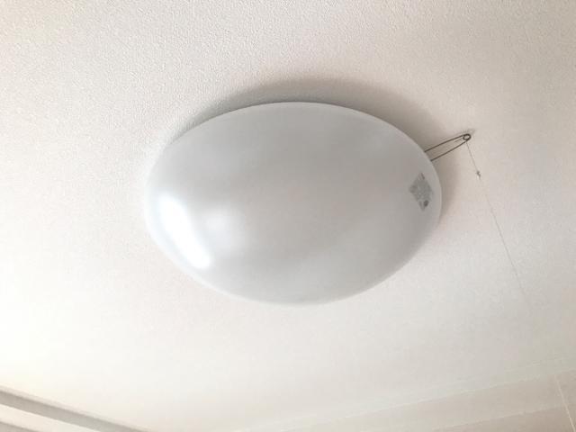 ステラ 部屋画像