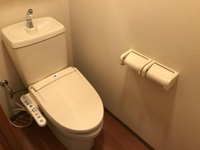 ステラ 部屋画像