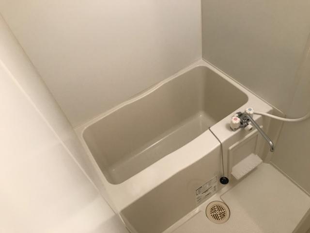 ステラ 部屋画像