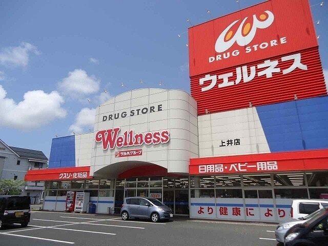 ウェルネス上井店：600m