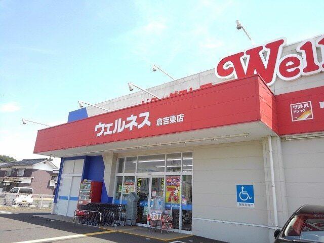 ウェルネス倉吉東店：300m