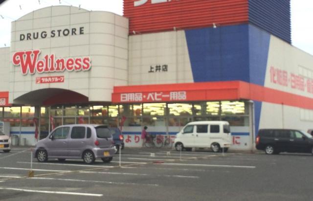 ドラッグストアウェルネス上井店：1706m