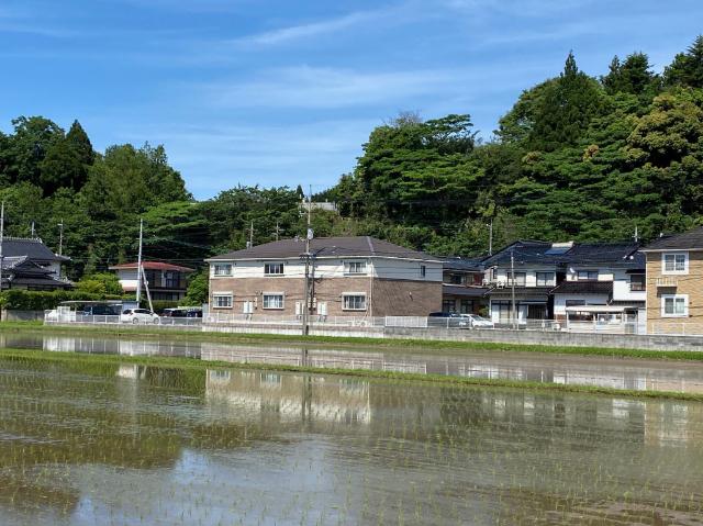 メゾン　ドゥ　サンマリノ その他