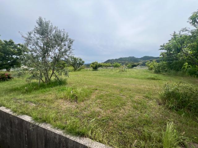 土地1