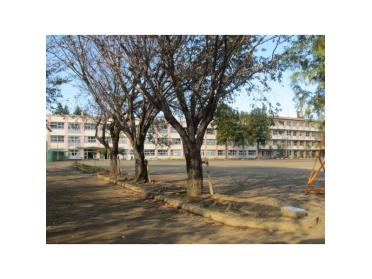 結城市立結城小学校：832m