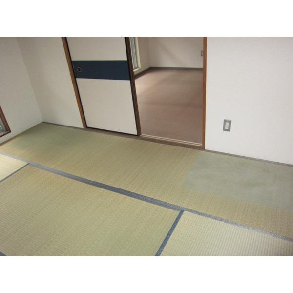 ナカモリハイツ（105） 部屋画像