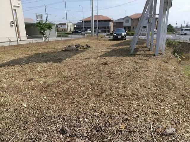 結城市新福寺その他 物件画像