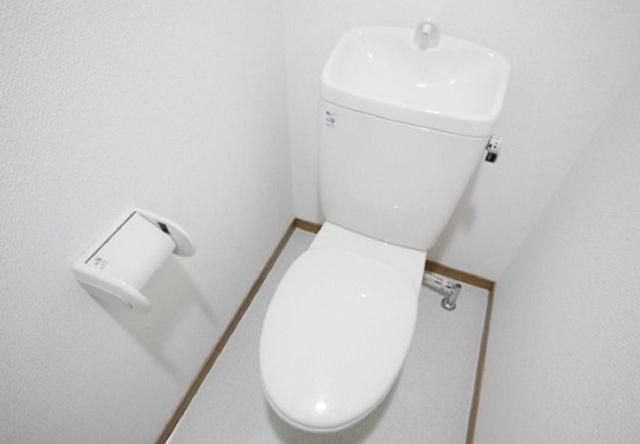 ラフィーネ港北（306） 部屋画像