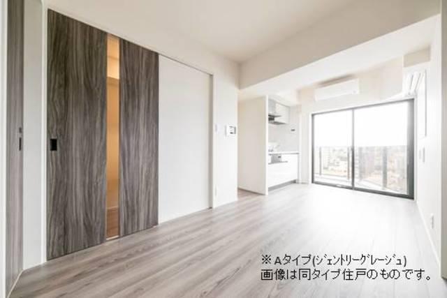デュオフラッツ池袋（1101） 部屋画像