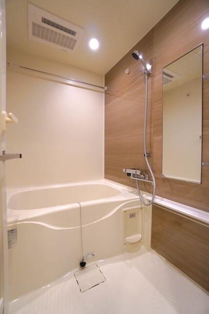 ザ・ライオンズフォーシア外神田（302） 部屋画像