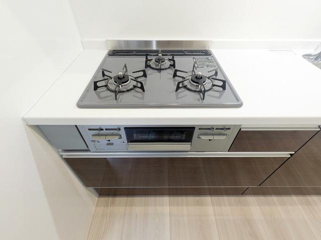 セレスティア若宮（101） 部屋画像