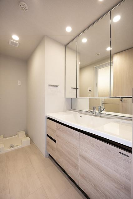 スカイグランデ津田沼（313） 部屋画像