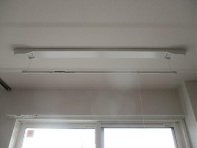 フォレストウッド　A棟（206） 部屋画像