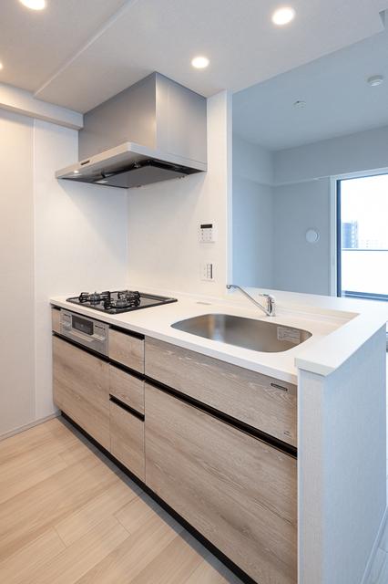 スカイグランデ津田沼（817） 部屋画像