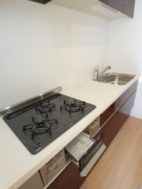 BLESS HOUSE柏西町　D（106） 部屋画像
